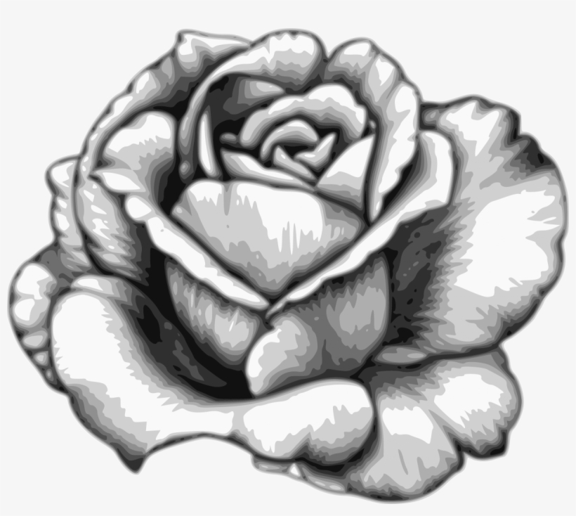 Drawing Flower Watercolor Black White Rose Fleur Dessin Realiste Free Transparent Png Download Pngkey