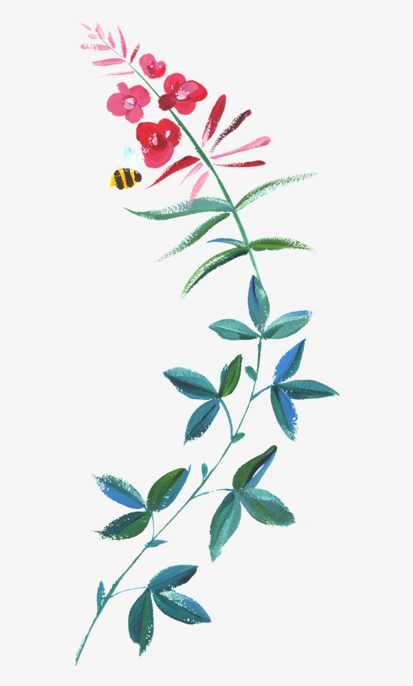 Hand-painted Watercolor Flower - 1 John 5 14, transparent png #96064