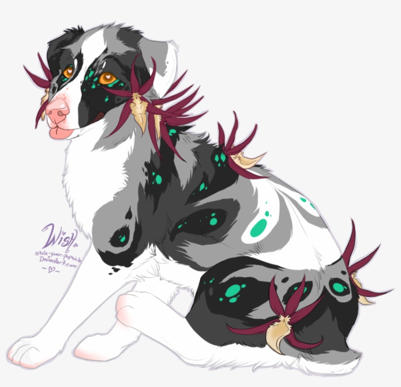 Spider Orchid Aussie Pup - Brassia, transparent png #96355