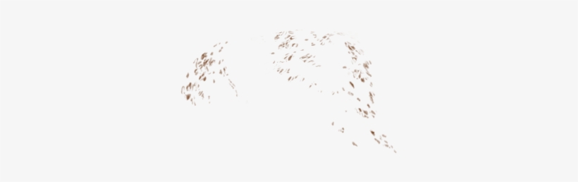 Freckles Transparent - Freckles Overlay Png, transparent png #96447