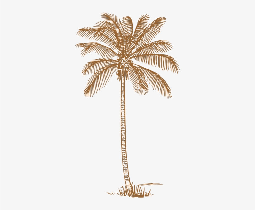 Palm Trees Wedding Invitations - Coconut Tree Clipart Black And White, transparent png #96467