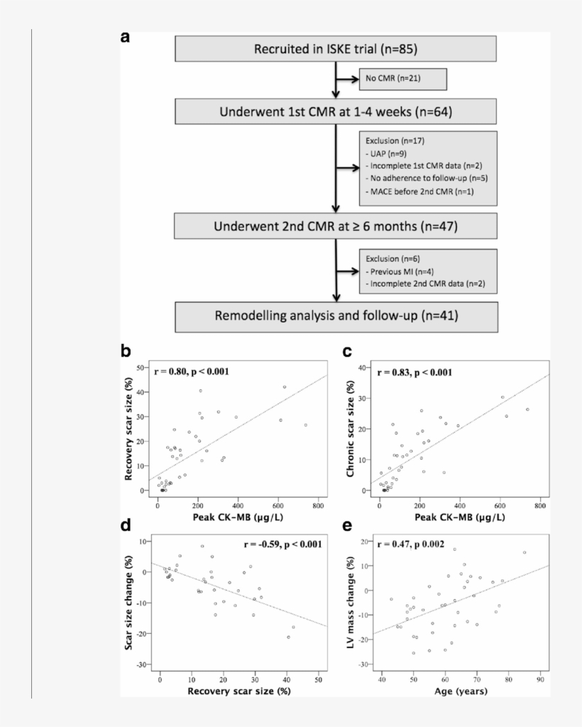 Correlation Of Peak Ck-mb With Recovery And Chronic - Document, transparent png #96512