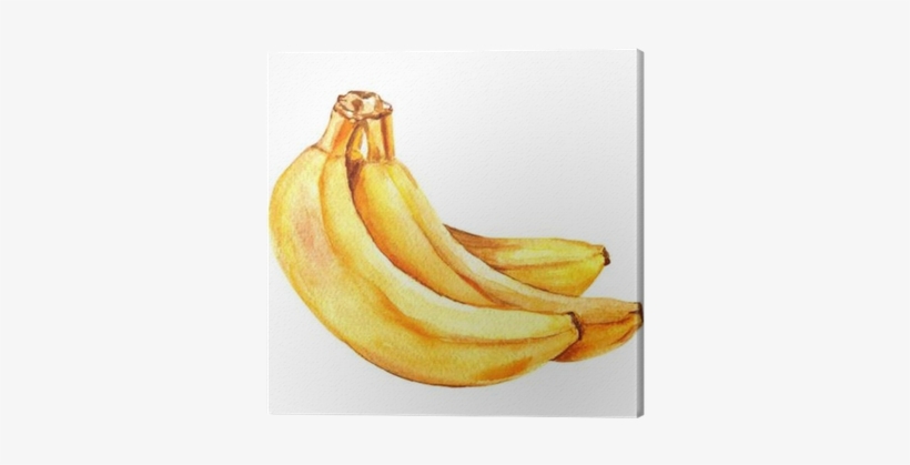Banana Watercolor, transparent png #96662