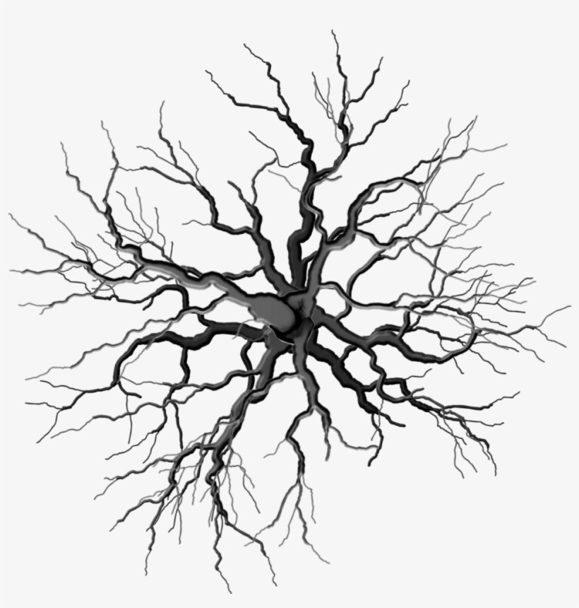 Profantasy Community Forum - Black And White Tree From Top, transparent png #96731
