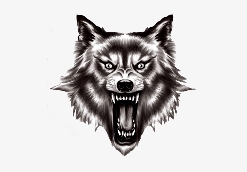 Real Wolf Png - Wolf Head Transparent Background, transparent png #96793
