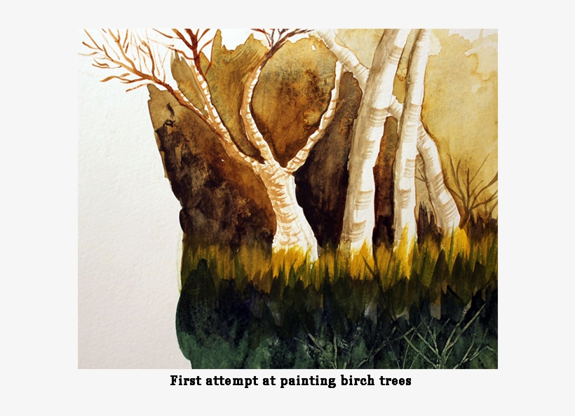 Birchtrees - - Painting, transparent png #96865