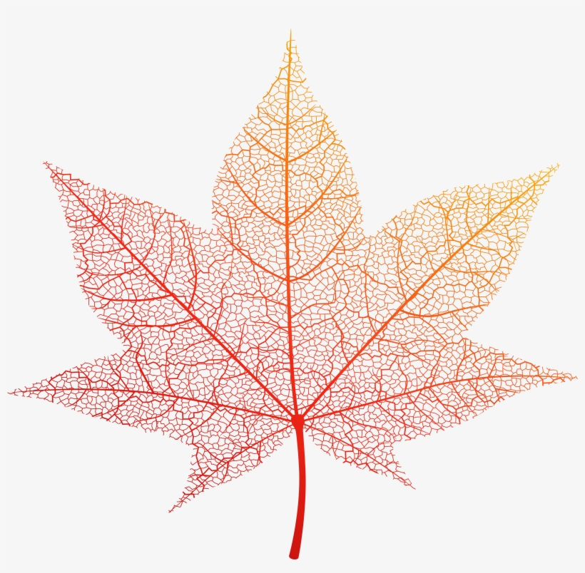 Transparent Orange Autumn Leaf Png Clip Art Image - Transparent Autumn Leaves Png, transparent png #96870