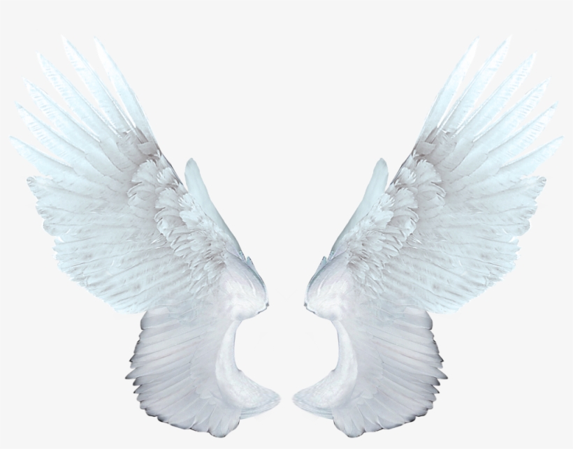 Angel Wings Png Transparent - Memory Of Michael Jackson, transparent png #97808