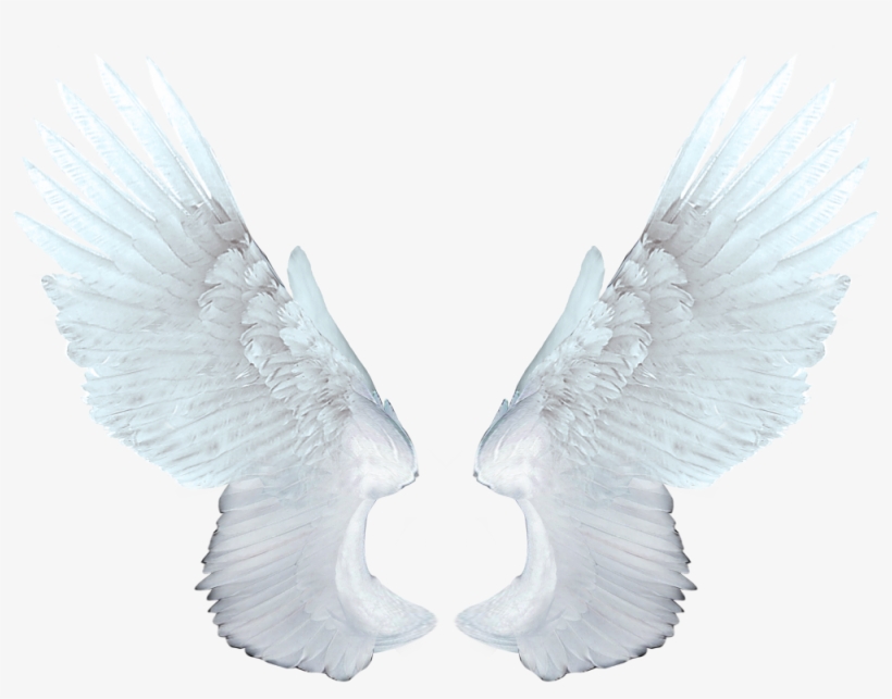 Angel Wings Png Transparent - Memory Of Michael Jackson, transparent png #97808