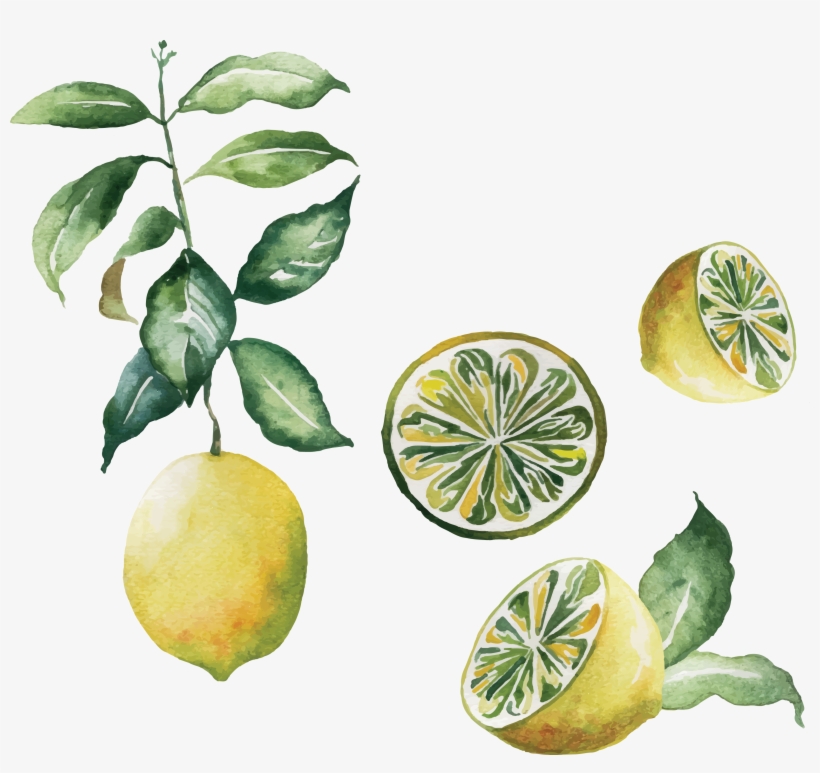 Poster Watercolor Painting Kitchen - Lemon Design, transparent png #97830