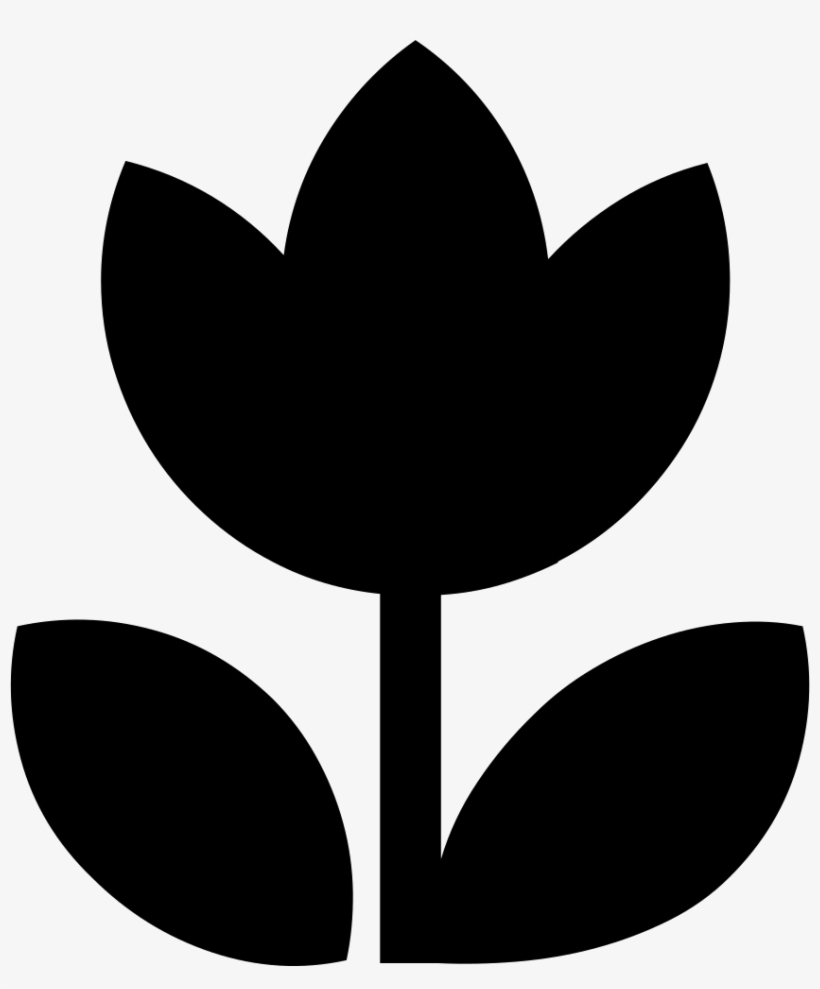 Plants Comments - Portable Network Graphics, transparent png #97854