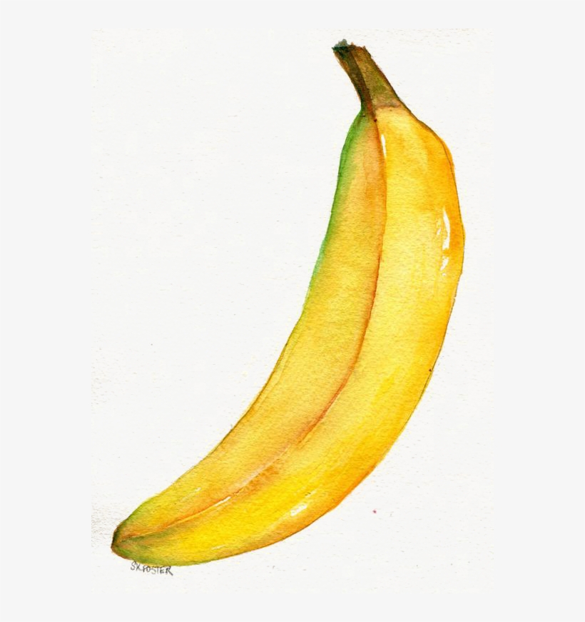 Image Stock Watercolor Painting Banana Illustration - Drawing, transparent png #98254