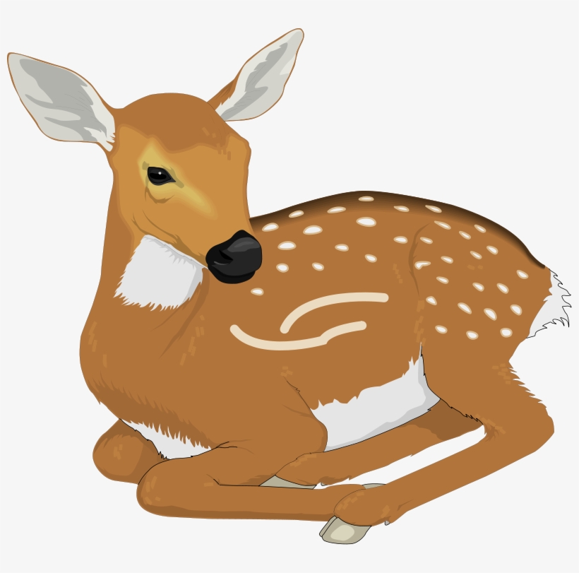 Deer 6 Free Vector - Deer Clipart Png, transparent png #98514