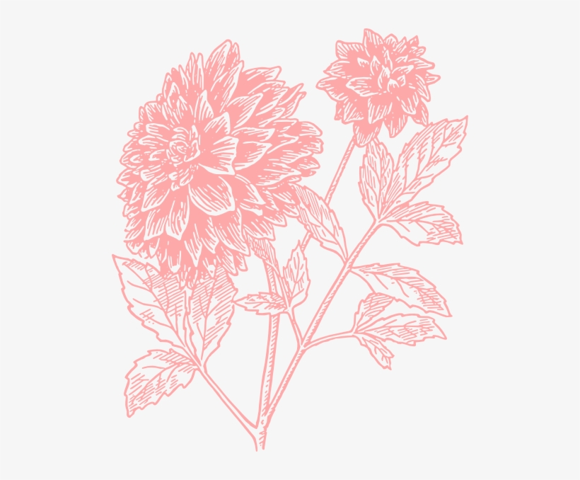 Light Flower Print Clip - Flower Print Png, transparent png #98858