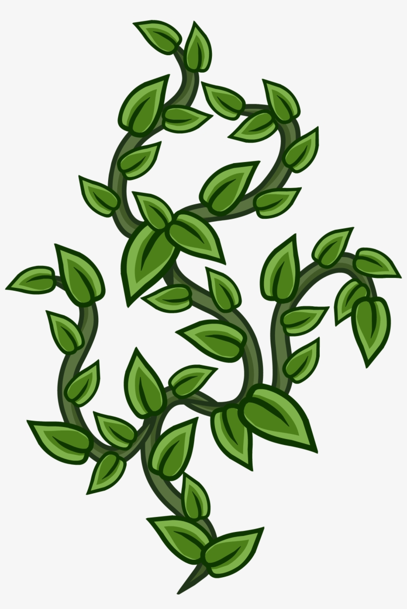 Vines - Vines Png, transparent png #99057