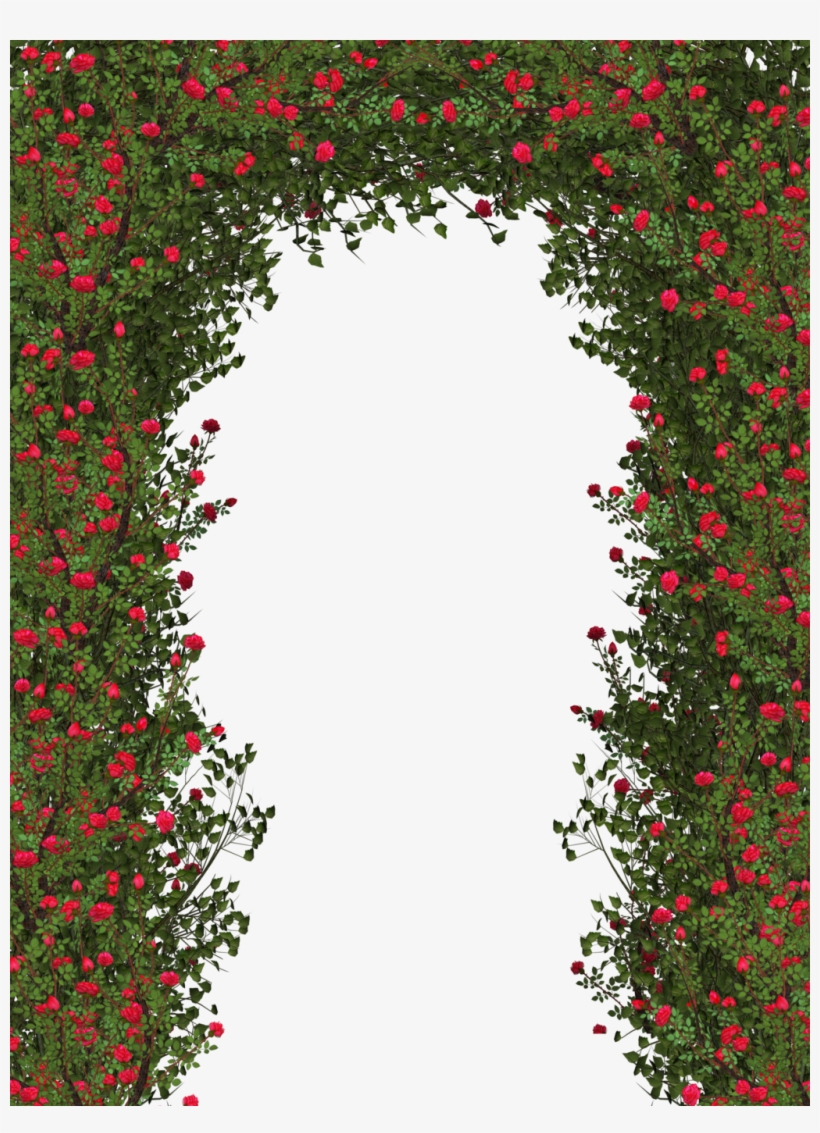 Rose Bush Clipart Flower Shrub - Rose Flower Tree Png, transparent png #99059