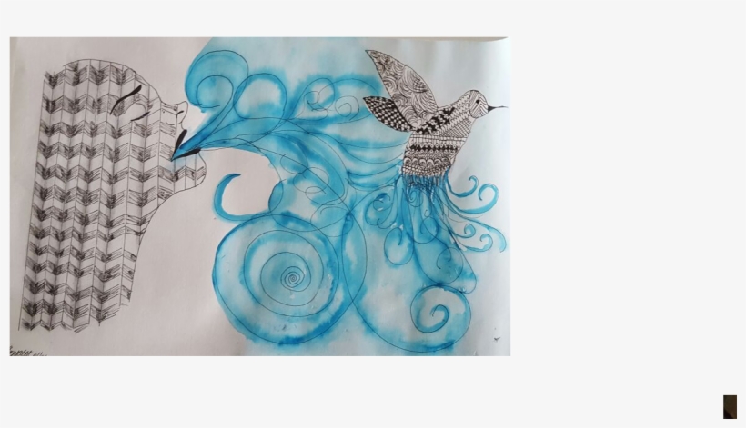 Illustrates My Formative Try Towards Trying To Develop - Hummingbird, transparent png #99243