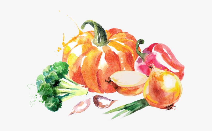 Foodavour - Panen Hidroponik Buah & Sayuran Buah Di Halaman, transparent png #99309