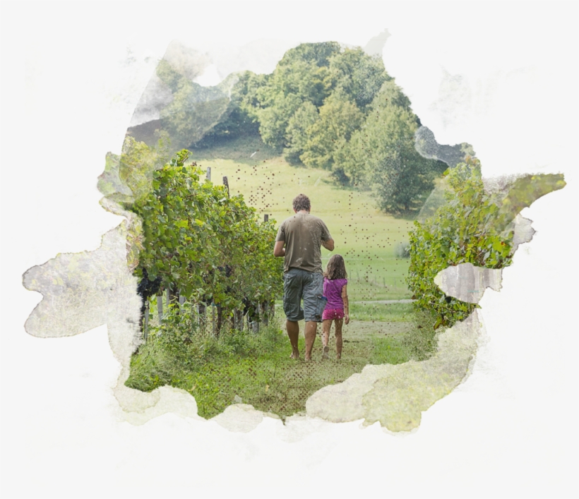 Valley - Vacation, transparent png #99402