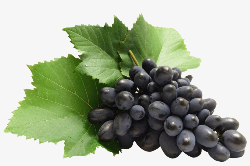 Fruits Png Images Hd, transparent png #99404