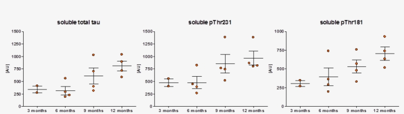 Soluble Total And Phosphorylated Tau Levels In The - Diagram, transparent png #900072