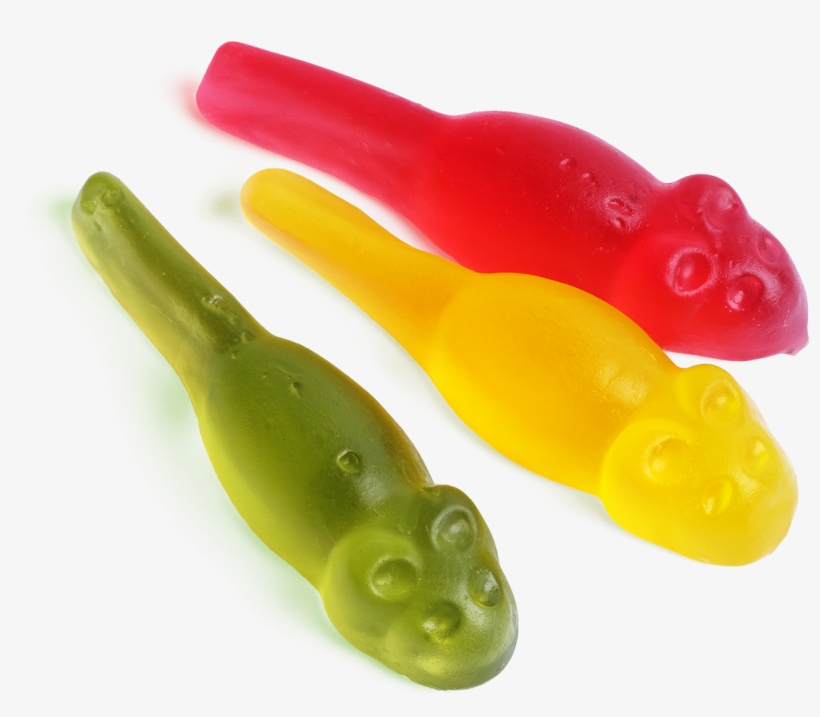 Rat, transparent png #900320