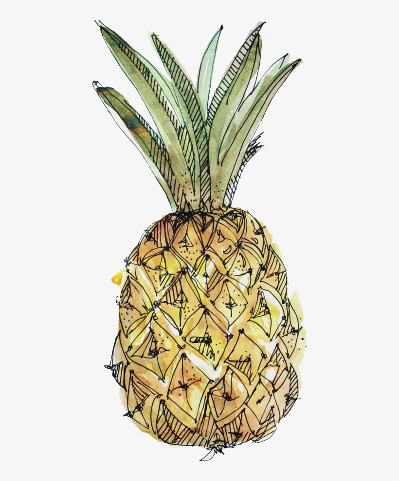 Paper Pineapple Drawing Watercolor Painting Illustration - Cute Tumblr Watercolor Drawings, transparent png #900411