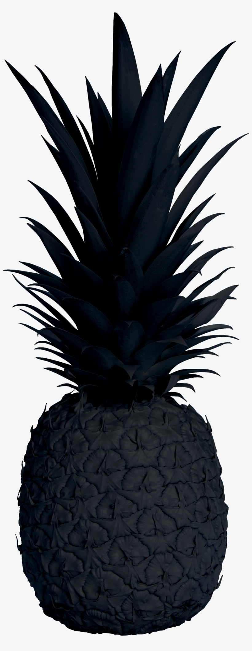 Home - Pineapple Transparent Black, transparent png #900513