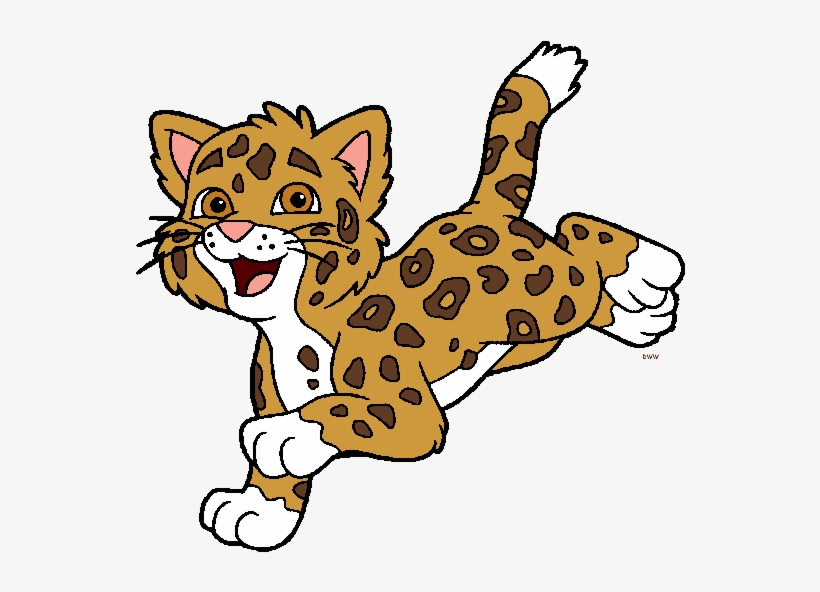 Baby Jaguar Png Clipart - Baby Jaguar Go Diego Go, transparent png #900612