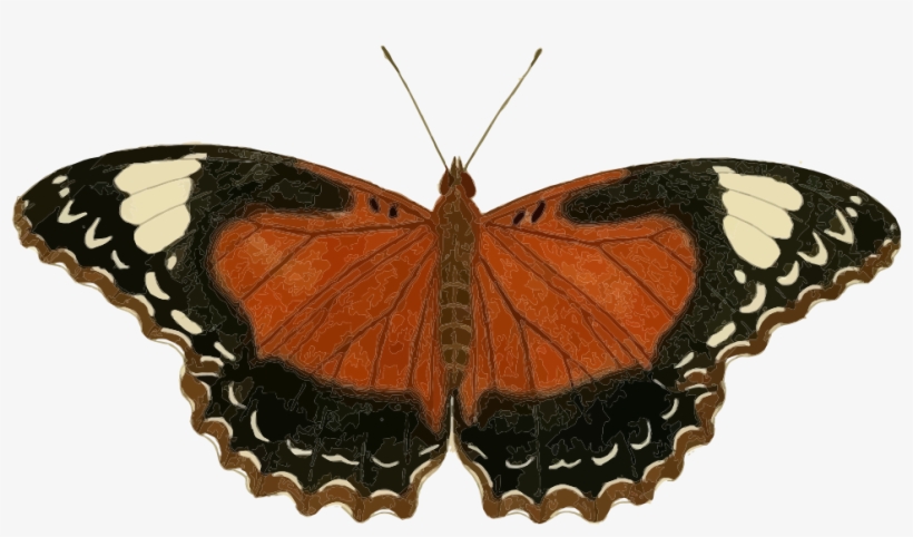Small - Icanvas 'plate 62' By Cramer And Stoll Graphic Art, transparent png #900672