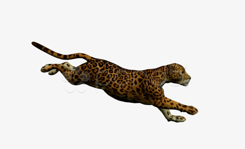 Jaguar Walking Free Png Image - Cartoon Jaguar Running, transparent png #900762