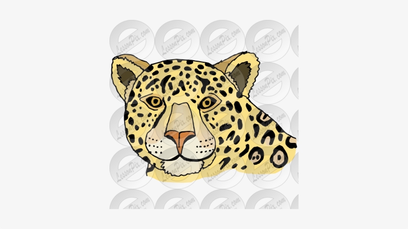 Jaguar Lying Down Transparent Png - Portable Network Graphics, transparent png #900805