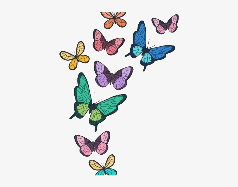 Insects Clipart Watercolor - Watercolor Butterfly Png, transparent png #901036