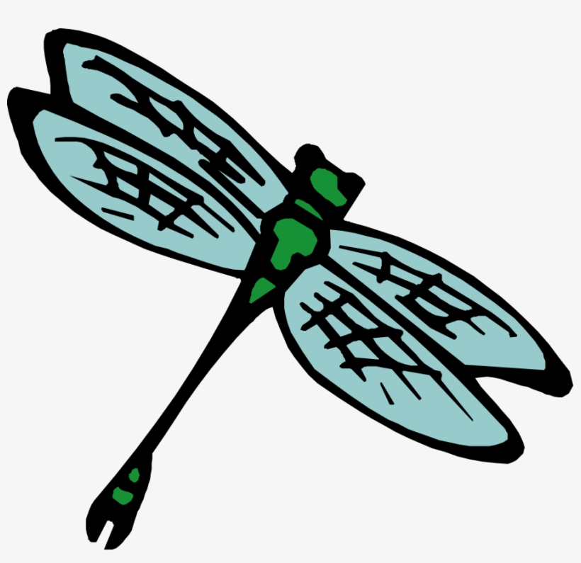 Insect Clipart Transparent - Insect Clip Art, transparent png #901228