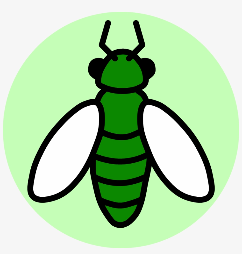 We Love Bugs - Insect, transparent png #901263