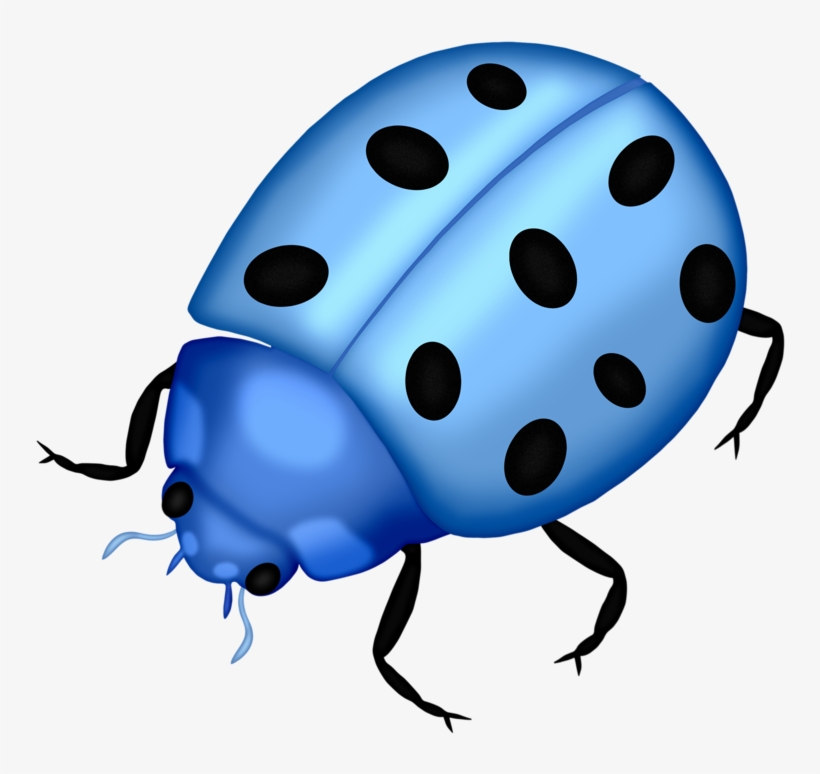 Bug Png Clip Art Lady Bugs And - Png Ladybug Blue, transparent png #901416