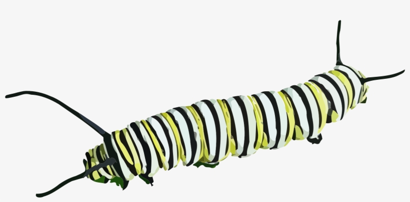Caterpillar Clipart - Caterpillar Png, transparent png #901470