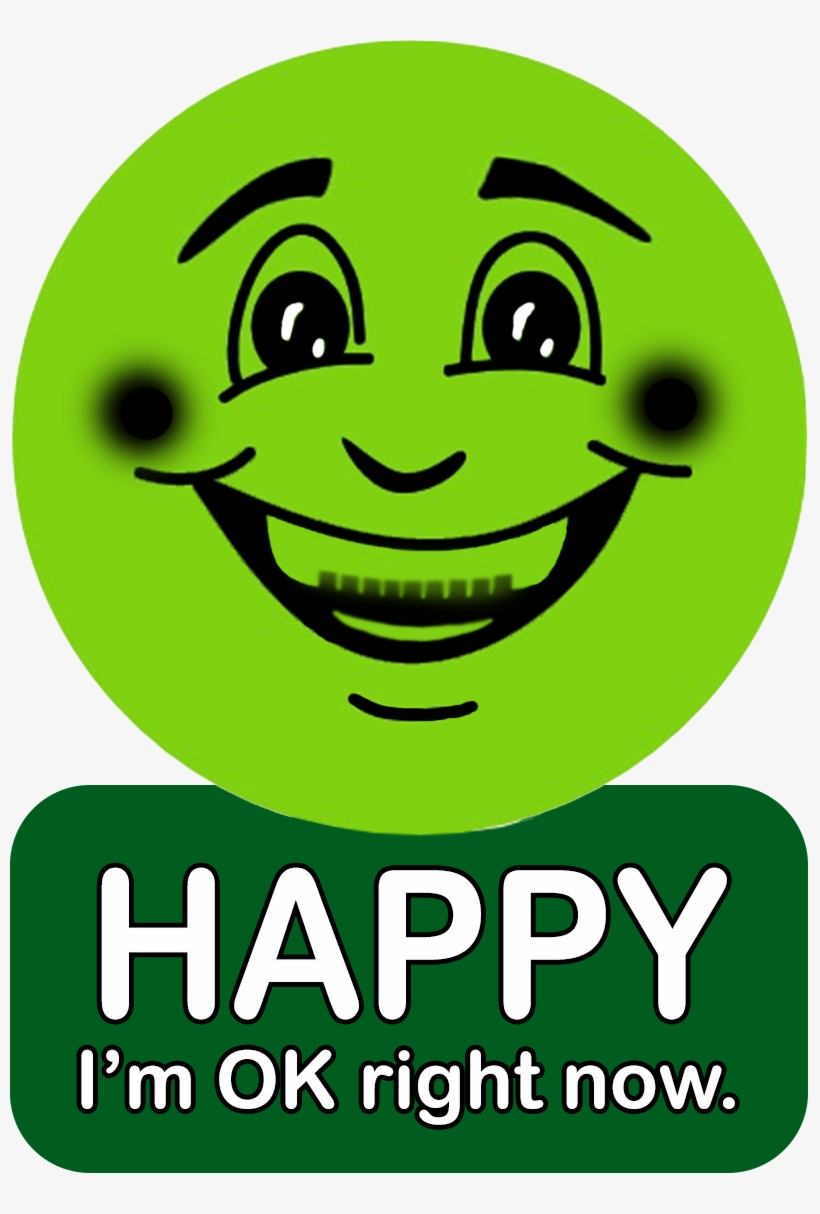 Emotion Faces For Kids Happy Emotions Pinterest - I D Rather Be Alone Than Unhappy, transparent png #902090