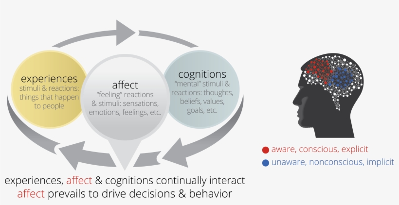 Emotional Dynamic Diagram - Dynamic Diagrams, transparent png #902329