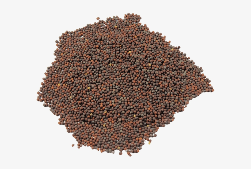 Brown Mustard - Coffee Bean Direct Irish Breakfast Loose Leaf Tea, transparent png #903801