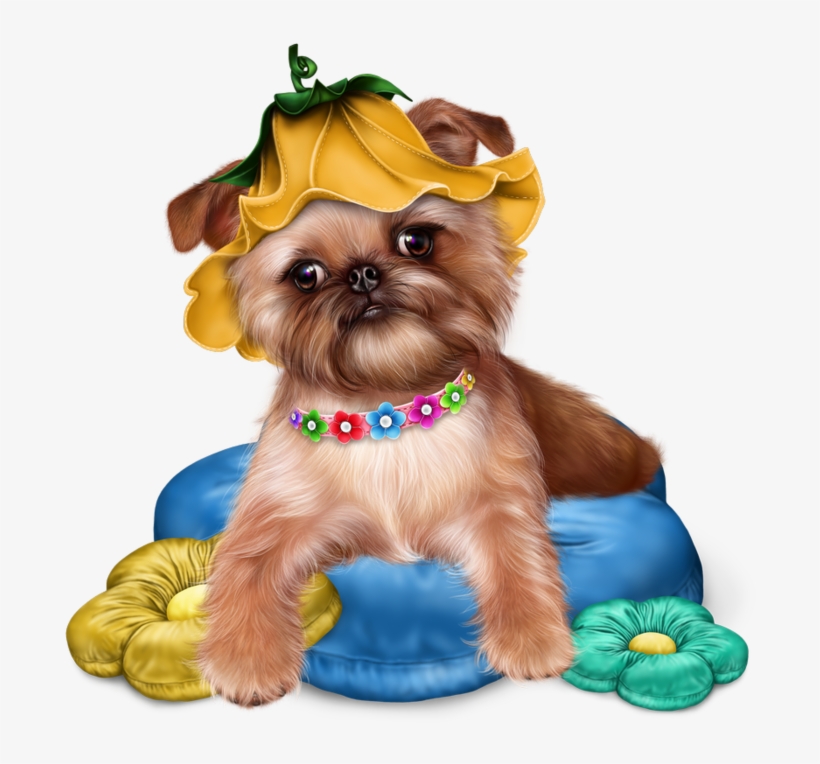 Превью Brussels Griffon Puppy20 Resultaat - Transparent Jaguarwomans Free Png, transparent png #904152