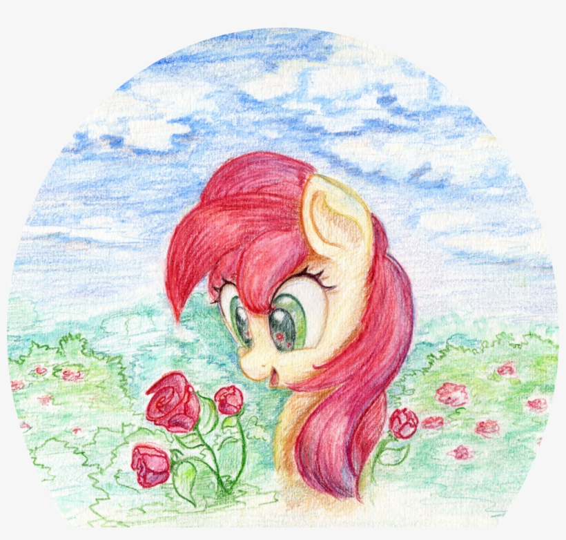 Uploaded - Coca Cola, transparent png #905150