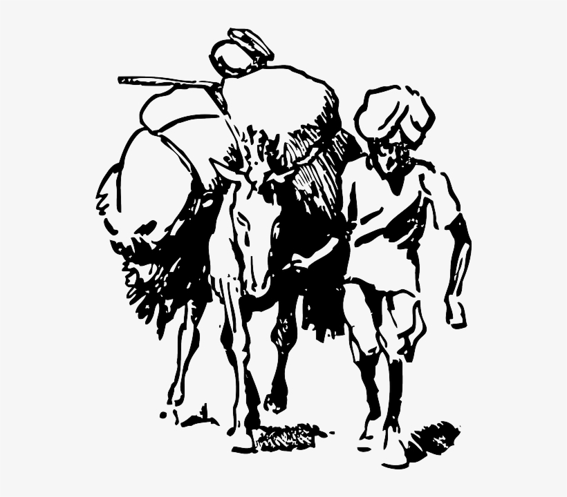 Cartoon, Field, Donkey, Load, Farmer, India, Indian - Indian Farmer Clipart Black And White, transparent png #905718