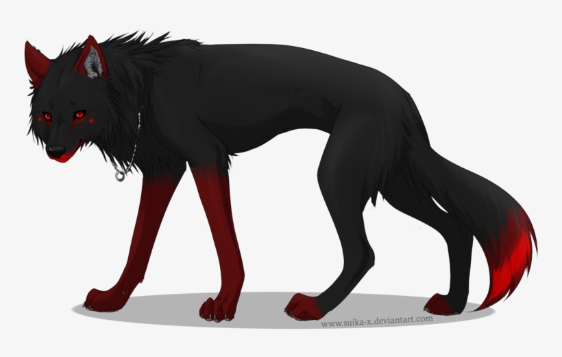 Lobo 46111 - Companion Dog, transparent png #906415