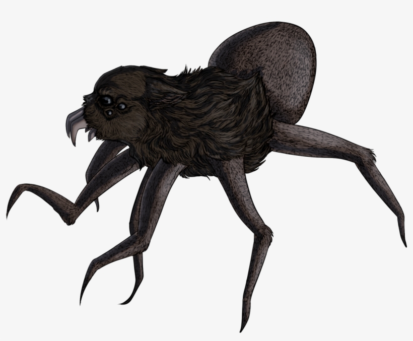 Araña Lobo - Wolf, transparent png #906529