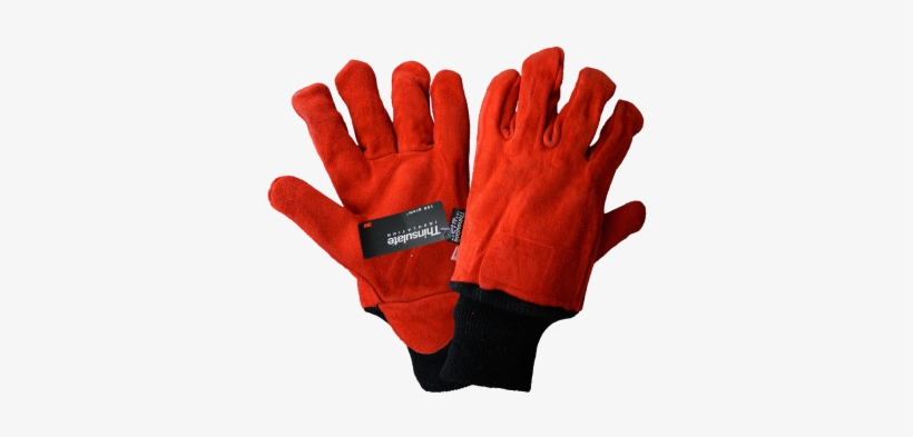 Gloves For Walk In Freezer, transparent png #906607
