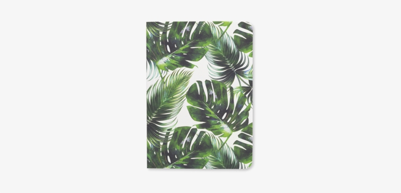 Tropical Leaf - Tropical Leaf Diary 2019, transparent png #907226