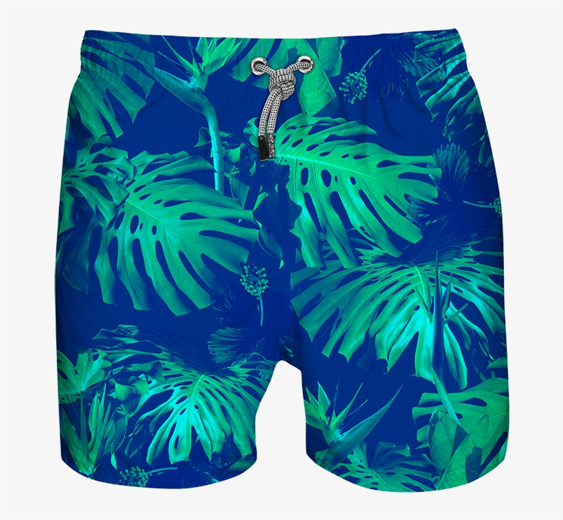 Tropics, transparent png #907439