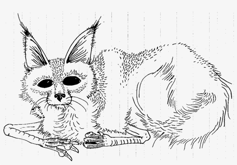 Download Where The Wild Things Are Coloring Pages - Where The Wild Things Are, transparent png #908667
