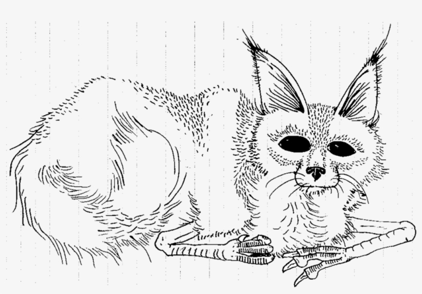 Download Where The Wild Things Are Coloring Pages At - Sketch, transparent png #908815